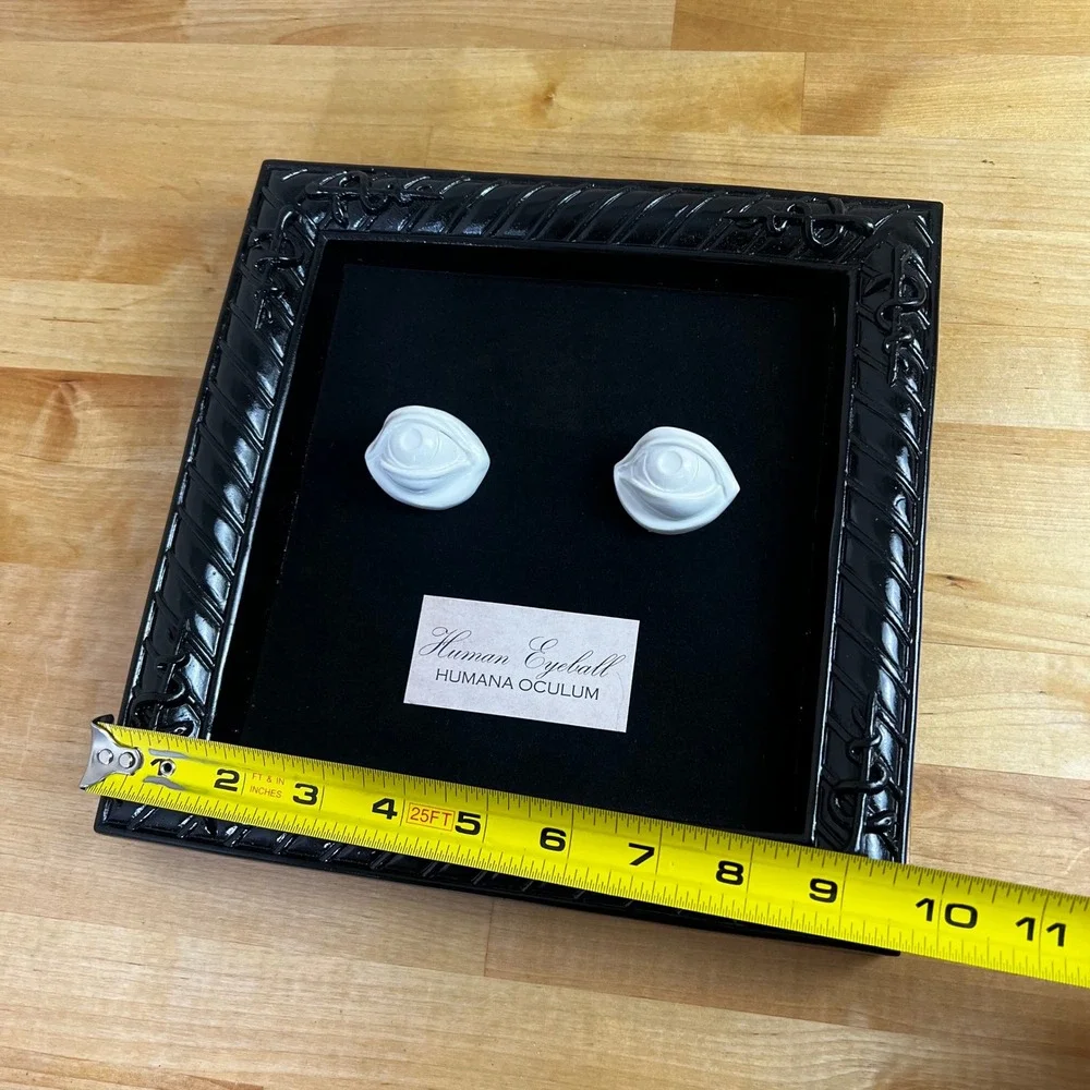 Metal Framed Human Eyeball Lab Specimen Halloween Square Wall Decor‎ Seasons USA